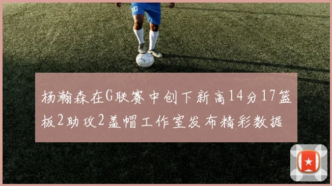 杨瀚森在G联赛中创下新高14分17篮板2助攻2盖帽工作室发布精彩数据海报