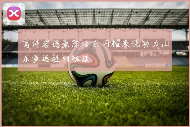 高诗岩德豪陈培东闪耀表现助力山东重返胜利轨道