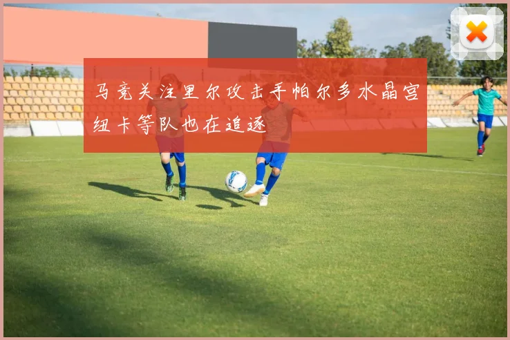 马竞关注里尔攻击手帕尔多水晶宫纽卡等队也在追逐