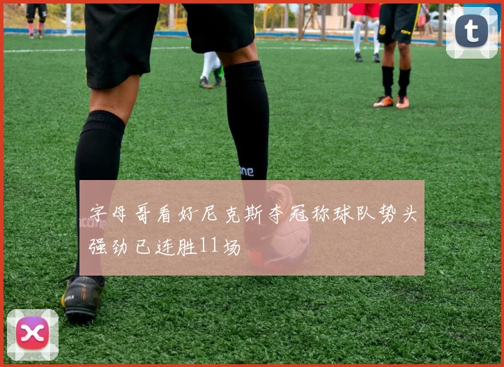字母哥看好尼克斯夺冠称球队势头强劲已连胜11场