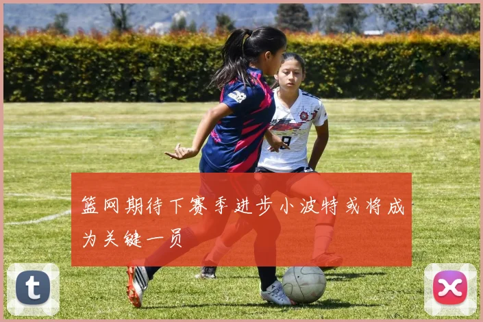 篮网期待下赛季进步小波特或将成为关键一员